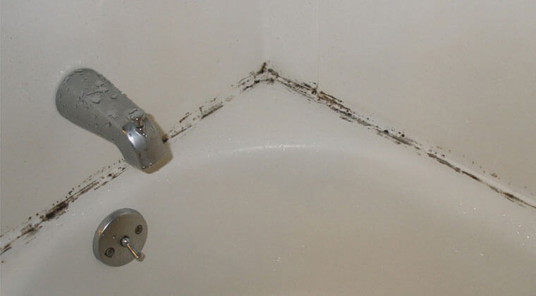 doğal banyo temizliği için küfleri temizlemek